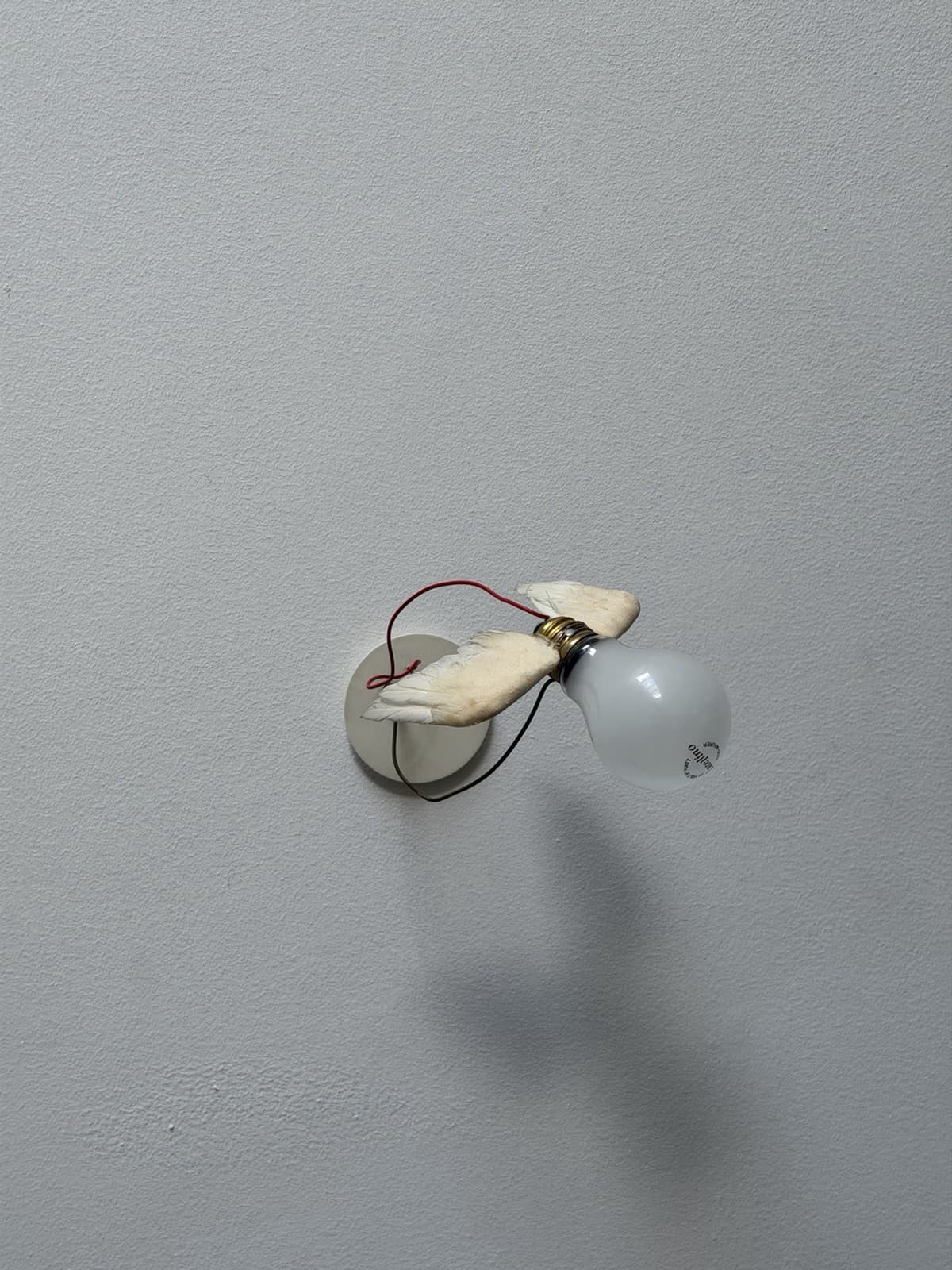 Ingo Maurer, Early Lucellino Wall Lamp, Design M