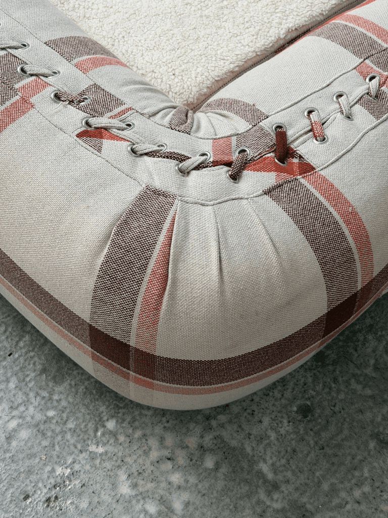 Alessandro Becchio, Anfibio Sofa, Giovannetti