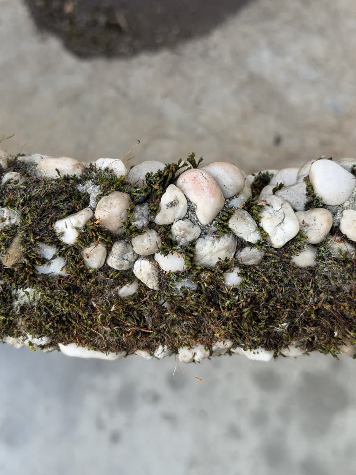 Unknown, Large Brutalist Concrete/ Stone Planter, Unknown